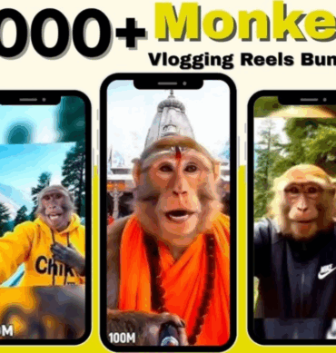 Best AI Monkey Vlogging Clips — 500+ Funny Animal Shorts